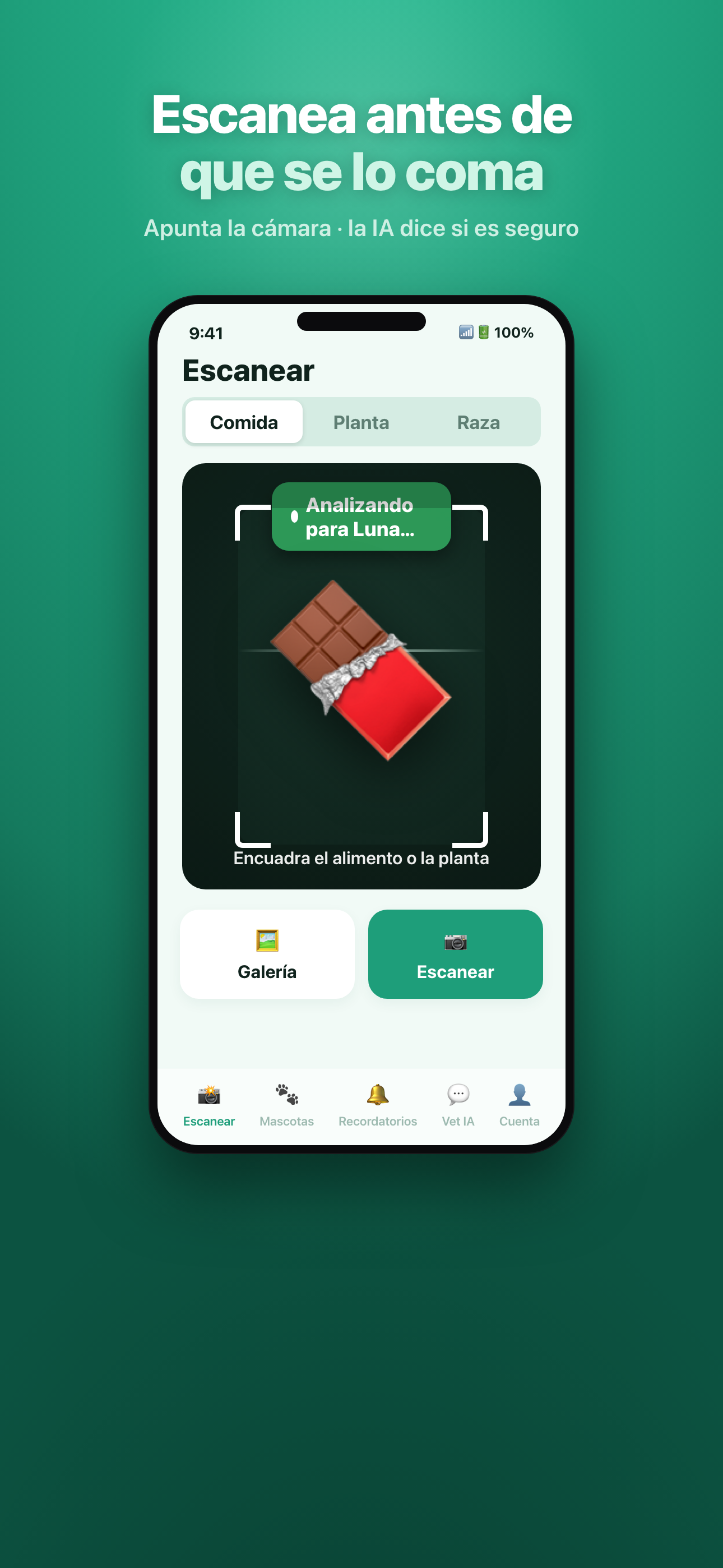 Cámara de Mascotia escaneando un alimento para obtener el veredicto de seguridad