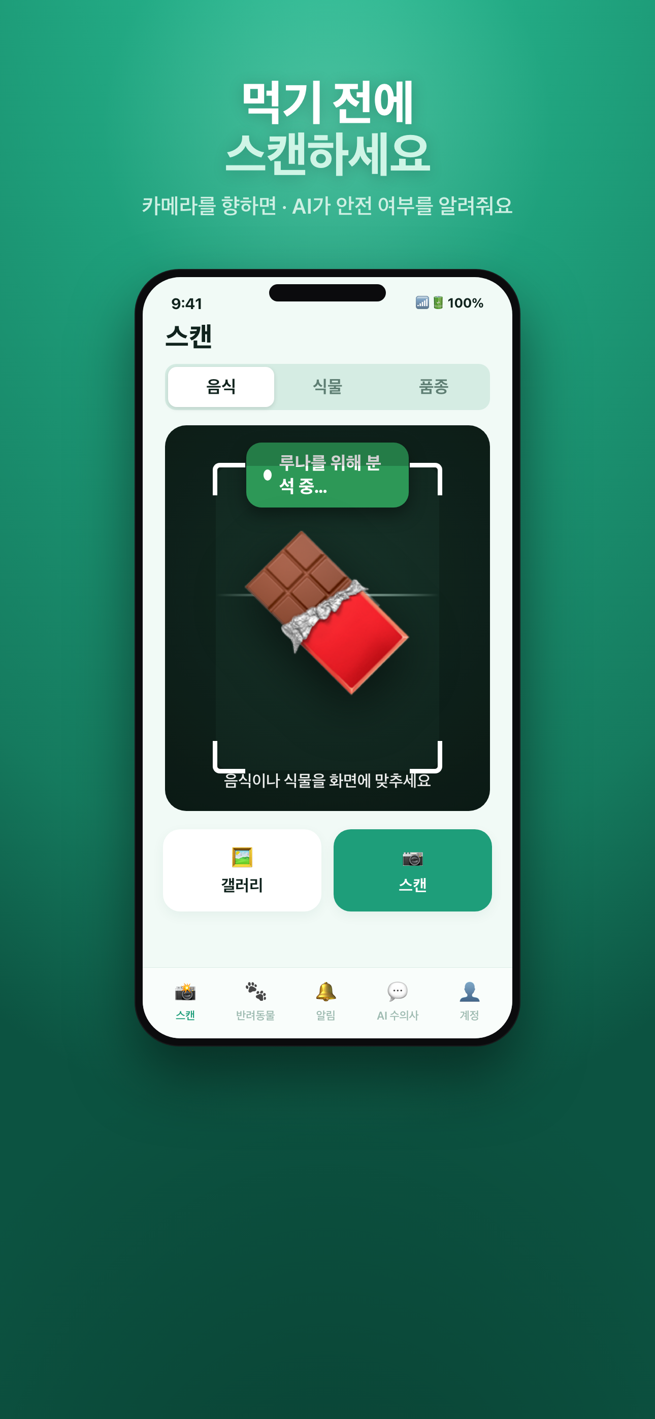 Mascotia 홈 화면: 음식을 스캔해 반려동물에게 안전한지 확인해보세요